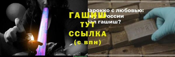 гидра Горно-Алтайск
