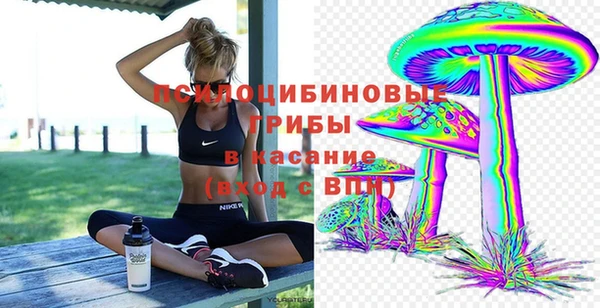 гидра Горно-Алтайск