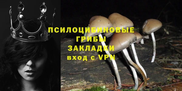 гидра Горно-Алтайск