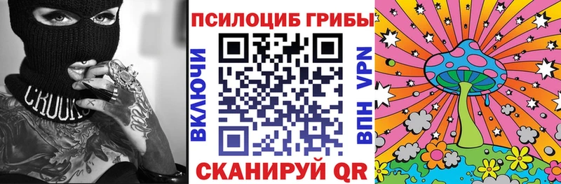 Псилоцибиновые грибы Psilocybe как найти наркотики Нефтеюганск